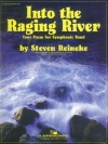 激流の中へ（スティーヴン・ライニキー）【Into the Raging River】