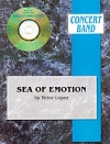 感情の海（ヴィクター・ロペス）【Sea of Emotion】
