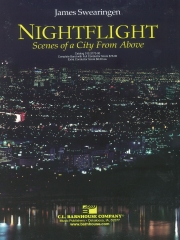 夜間飛行：上空からの街の情景（ジェイムズ・スウェアリンジェン）【Night Flight : Scenes of A City From Above】
