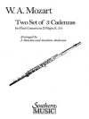 3つのカデンツァ ニ長調（ドンジョン＆アンデルセン)（フルート）【Three Cadenzas in D Major】