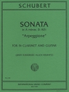 アルペジョーネ・ソナタ・イ短調・D821(シューベルト）（クラリネット+ギター）【Sonata in A minor  D. 821 for Guitar and Clarinet】