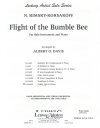 熊蜂の飛行（ニコライ・リムスキー＝コルサコフ）【Flight of the Bumblebee - Mallet】
