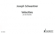 マリンバのための「速度」（ジョセフ・シュワントナー）【Velocities】