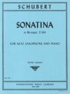 ソナタ・変ロ短調・D. 384（フランツ・シューベルト） （アルトサックス+ピアノ）【Sonatina in B flat minor, D. 384】