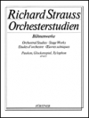 Orchestral Studies　 (打楽器三重奏)【Orchestral Studies】