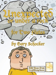 Unexpected Or Under A Rock (ゲイリー・ショッカー)    (フルートニ重奏)
