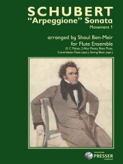 アルペジョーネ・ソナタ・第1楽章  (シューベルト)   (フルート十重奏)【Arpeggione Sonata Movement 1】