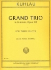 グランド・トリオ・ロ短調・Op.90（フリードリヒ・クーラウ） (フルート三重奏)【Grand Trio in B minor, Opus 90】