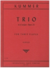 トリオ・ト長調・Op.24（カスパー・クンマー） (フルート三重奏)【Trio in G major, Opus 24】