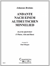 アンダンテ  (ヨハネス・ブラームス)  (フルート五重奏)【Andante - Nach Einem Altdeutschen Minnelied】