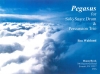 ペガサス（ベン・ワーランド）  (ソロ・スネア+打楽器三重奏)【Pegasus】
