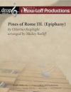 主顕祭「ローマの松」より (オットリーノ・レスピーギ)（打楽器二十重奏）【Pines - Roman Festival III. (Epiphany)】