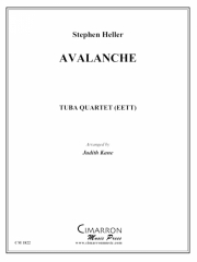 雪崩（ユーフォニアム＆テューバ四重奏)【Avalanche】