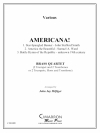 アメリカーナ（金管四重奏)【Americana!】