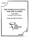 世界は日の出を待っている (ユーフォニアム&テューバ四重奏）【 World is Waiting for the Sunrise】