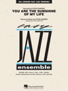 ユー・アー・ザ・サンシャイン・オブ・マイ・ライフ（スティービー・ワンダー）【You Are the Sunshine of My Life】