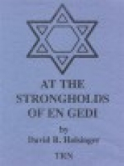 エン・ゲディの砦（デイヴィッド・R・ホルジンガー）（スコアのみ）【At the Strongholds of En Gedi】