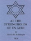 エン・ゲディの砦（デイヴィッド・R・ホルジンガー）（スコアのみ）【At the Strongholds of En Gedi】