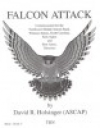 ファルコン・アタック（デイヴィッド・R・ホルジンガー）【Falcon Attack】