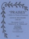 Praises - 第一楽章（デイヴィッド・R・ホルジンガー）（スコアのみ）【Praises - 1st Movement】