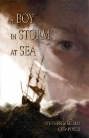 Boy In Storm At Sea（スティーヴン・メリロ）