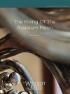 Rising of the Assidium Moon（バリー・コペッツ)