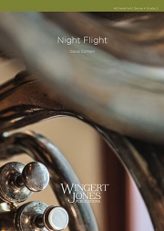 夜間飛行（デイヴィッド・ゴーアム)【Night Flight】