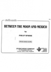 月とメキシコの間に（フィリップ・スパーク）（金管バンド）【Between the Moon and Mex】