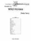野生の馬 （ピーター・テリー）（スコアのみ）【Wild Horses】