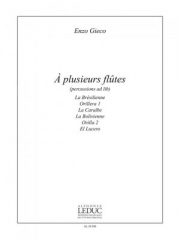 A Plusieurs Flutes（エンツォ・ヒエコ）  (フルート四重奏)