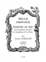 Pointe au Pic Op.185（アンドレ・アメレール） (テナーサックス+ピアノ）
