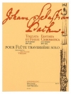 トッカータとフーガ・BWV565（バッハ） (フルート）【Toccata and Fugue BWV 565 / Fantasia Chromatica】