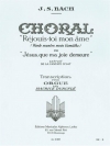 10のカンタータ・コラール（バッハ）（オルガン）【10. Choral Extrait De La Cantate BWV 147】
