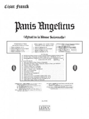 天使の糧（セザール・フランク）（ピアノ二重奏）【Panis Angelicus】