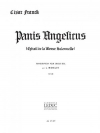 天使の糧 (セザール・フランク)（オルガン）【Panis angelicus from 'Messe solennelle'】