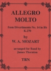 アレグロ・モルト （モーツァルト）【Allegro Molto】