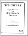 アレグロ・モデラート（フランツ・シューベルト）(テナーサックス+ピアノ）【Allegro Moderato from Arpeggione Sonata】