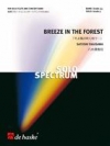 「そよ風の吹く杜で…」～ 独奏フルートとコンサートバンドのために（八木澤 教司）【Breeze in the Forest for Solo Flute and Concert Band】