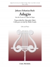 アダージョ「トッカータ・ハ長調」より（バッハ）（チェロ+ピアノ）【Adagio from The 'Toccata In C Major' for Organ】