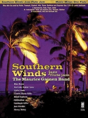 サザン・ウインズ（フルート）【Southern Winds: Jazz Flute Jam】