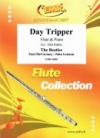 デイ・トリッパー（ビートルズ）（フルート+ピアノ）【Day Tripper】