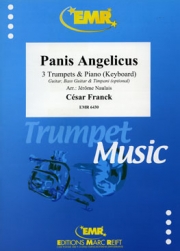 天使の糧（セザール・フランク）  (トランペット三重奏+ピアノ)【Panis Angelicus】