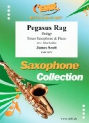 ペガサス・ラグ（ジェームス・スコット） (テナーサックス+ピアノ)【Pegasus Rag】