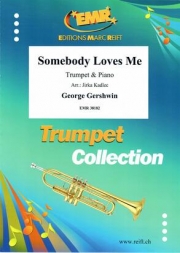 誰かが私を愛してる（ジョージ・ガーシュウィン）（トランペット+ピアノ）【Somebody Loves Me】