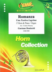 ロマンツァ（人知れぬ涙）（ガエターノ・ドニゼッティ）（ホルン+ピアノ）【Romanza】