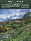 アイルランドの庭を散歩（ジェイムズ・ゴールウェイ）（フルート+ピアノ）【A Walk in an Irish Garden】