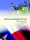 ミーティング・モッキンバード・イン・テキサス（ウィルフリード・ウェステルリンク）（ピッコロ）【Meeting a Mockingbird in Texas】