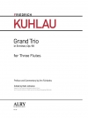 グランド・トリオ・ロ短調・Op.90（フリードリヒ・クーラウ）（フルート三重奏）【Grand Trio in B minor, Op. 90】
