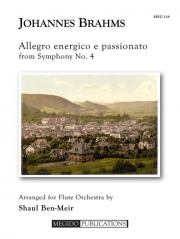 交響曲・第4番・第4楽章（ヨハネス・ブラームス）（フルート十一重奏）【Allegro Energico e Passionato from Symphony No. 4】