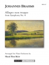 交響曲・第4番・第1楽章（ヨハネス・ブラームス）（フルート十一重奏）【Allegro Non Troppo from Symphony No. 4】